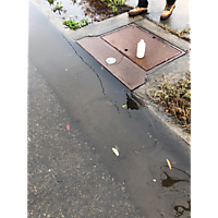 MTM king tide Oct27 image